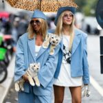 Kolor niebieski na wiosnę 2026